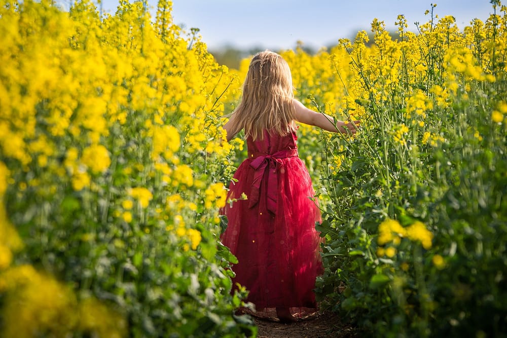 child-4157865_1920